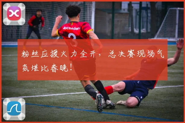 粉丝应援火力全开，总决赛现场气氛堪比春晚！