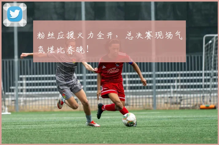 粉丝应援火力全开，总决赛现场气氛堪比春晚！