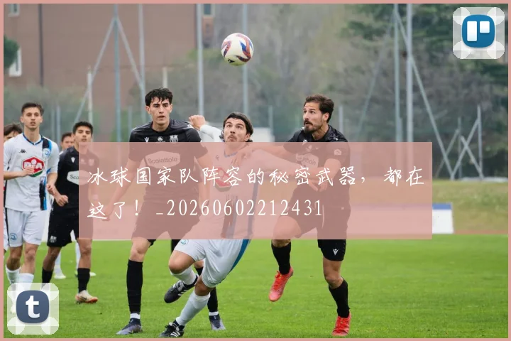 冰球国家队阵容的秘密武器，都在这了！_20260602212431